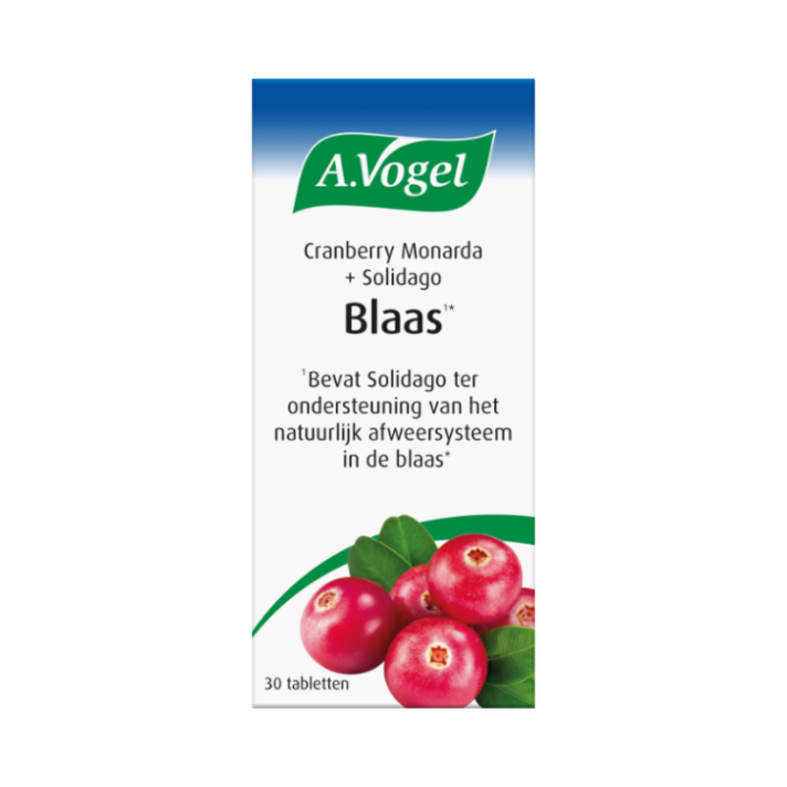 Cranberry Monarda